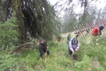 Experten über die Schulter schauen und tatkräftig mithelfen, wie im Bild bei der Aufforstung, konnten die Teilnehmer am Schutzwald-Campus am Watles.