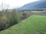 Im Zuge der Hochwasserschutzmaßnahmen wird auch die Vegetation an den Ufern des Tartscherbaches in Glurns gerodet und ersetzt.