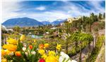 Übermorgen öffnen die Gärten von Schloss Trauttmansdorff in Meran wieder ihre Tore.