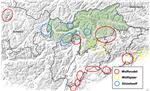 Aktuelle Karte der Verbreitung der Wölfe in Südtirol und in den angrenzenden Gebieten. Quelle: Amt für Jagd und Fischerei