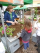 Wie topft man Jungpflanzen fachgerecht ein? Am Infostand am Bozner Blumenmarkt wurde es dem interessierten Publikum gezeigt 