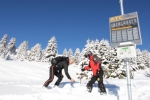 Üben für den Ernstfall kann man kostenlos in den sechs Lawinenübungscamps in sechs verschiedenen Südtiroler Skigebieten - Foto: Skigebiet Plose