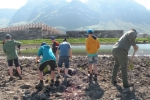 500 Wasser- und Sumpfgewächse pflanzten Schüler und Förster im neuen Biotop in Kurtatsch./Foto LPA