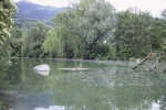 Die sogenannte „Fischzucht“ bietet Erholung im Park und am Teich im Süden von Brixen. 