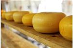 Aperte le iscrizioni al corso "La produzione del formaggio"