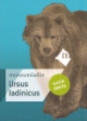 La copertina della guida 