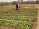 Foto di un Bouli realizzato a Dori nella Regione Sahel del Burkina Faso nell’ambito del programma di cooperazione decentrata sostenuto dalla Provincia 