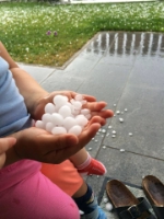 Chicchi di grandine caduti una settimana fa a Prissiano. Foto: Servizio meteo/Rita Rabensteiner