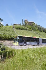 Notevole il successo del collegamento mediante autobus tra Bolzano e l’Oltradige 