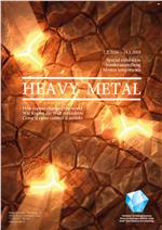 Il manifesto della mostra "Heavy Metal"