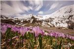 Immagine primaverile di marzo 2016 da Casies (©Thomas Reier)