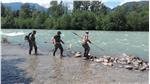 Gli operatori dell’Ufficio caccia e pesca nel corso della rilevazione lungo l’Adige 