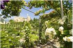 Un’immagine dei Giardini di Castel Trauttmansdorff