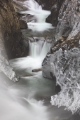 Am 15. März wird im Naturparkhaus Rieserferner Ahrn die Fotoausstellung "Wasserlebensräume" eröffnet