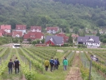 Die Schülergruppe der Fachschule Laimburg während ihres Besuches in der Partnerschule in Veitshöchheim 