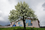 In den frühjahrlichen Sternenhimmel kann man am 17. Mai im Planetarium blicken - Foto: LPA/Planetarium