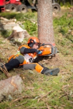 Johannes Egger beim Fällen