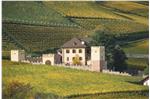 Eine Hausmeisterstelle wird an der Fortbildungsakademie Schloss Rechtenthal oberhalb Tramins frei. Foto: Schloss Rechtenthal