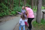 Den Wald erkunden können Kinder im Juli und August in Mareit./Foto Landesmuseum für Jagd- und Fischerei