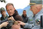 Schnabelvermessung vor der Entlassung in die Freiheit: (v.li.) Förster Michael Stofner, Campei und Gamper vom Pflegezentrum für Vogelfauna, Oberst Furlan. 