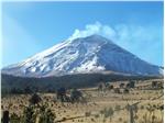 Das Land der natürlichen Vielfalt, Ecuador, steht im Mittelpunkt eines Vortragsabends im Naturmuseum