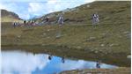 Der Euregio-Ort des Monats ist der Stoneman-Trail in den Sextner Dolomiten - Foto: Europaregion