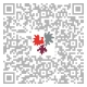 Euregio-Film "Ski - Fun & Safe": der QR-Code.