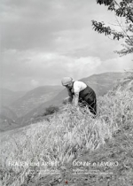 Die Fotoausstellung "Frauen und Arbeit" wird am 2. März eröffnet und wird bis zum 13. März in der Gemeinde Bozen gezeigt