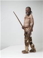 Rekonstruktion von Ötzi, dem Mann aus dem Eis im Südtiroler Archäologiemuseum © Südtiroler Archäologiemuseum/Kennis/A. Ochsenreiter