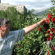 Garten im Mittelpunkt des Interesses