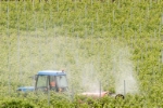 Ausbringen von Pflanzenschutzmitteln im Weinberg. Foto: LPA/ohn.