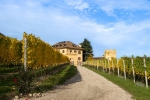 Ein internationales Publikum hat das Deutsche Bildungsressort zu einer Tagung über inklusive Bildung auf Schloss Rechtenthal in Tramin empfangen