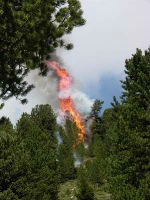 Extreme Waldbrandgefahr